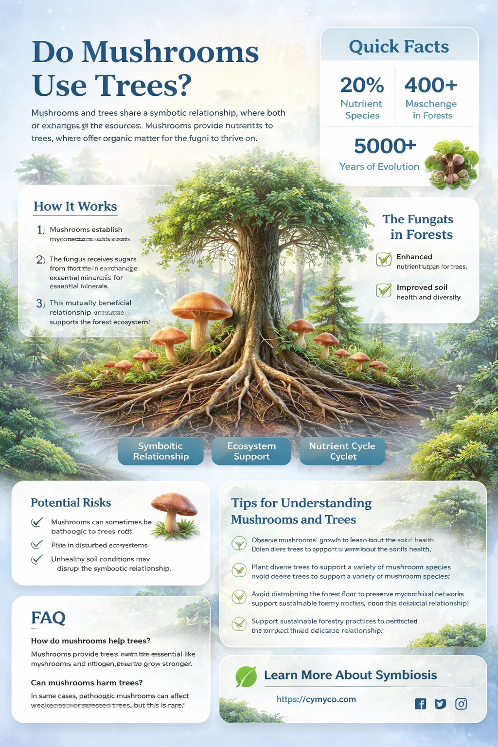 do mushrooms use trees