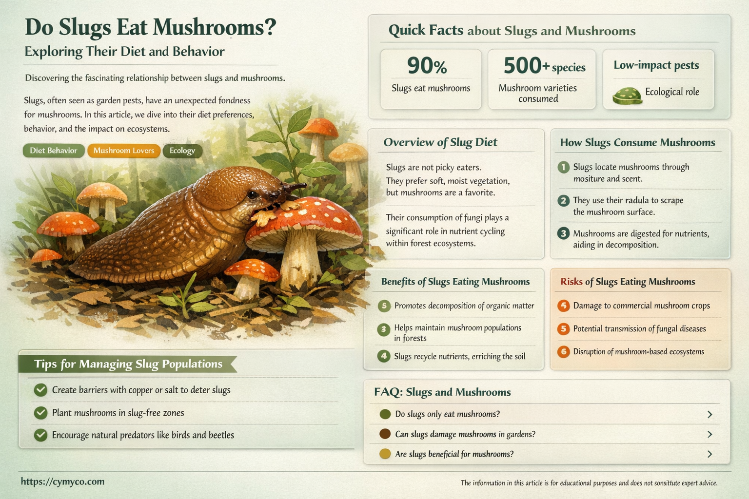 do slugs eat mushrooms