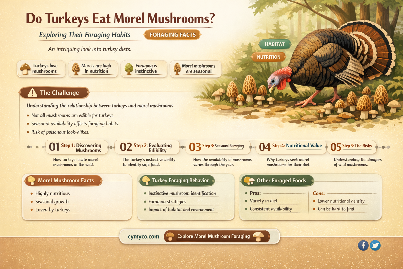 do turkeys eat morel mushrooms