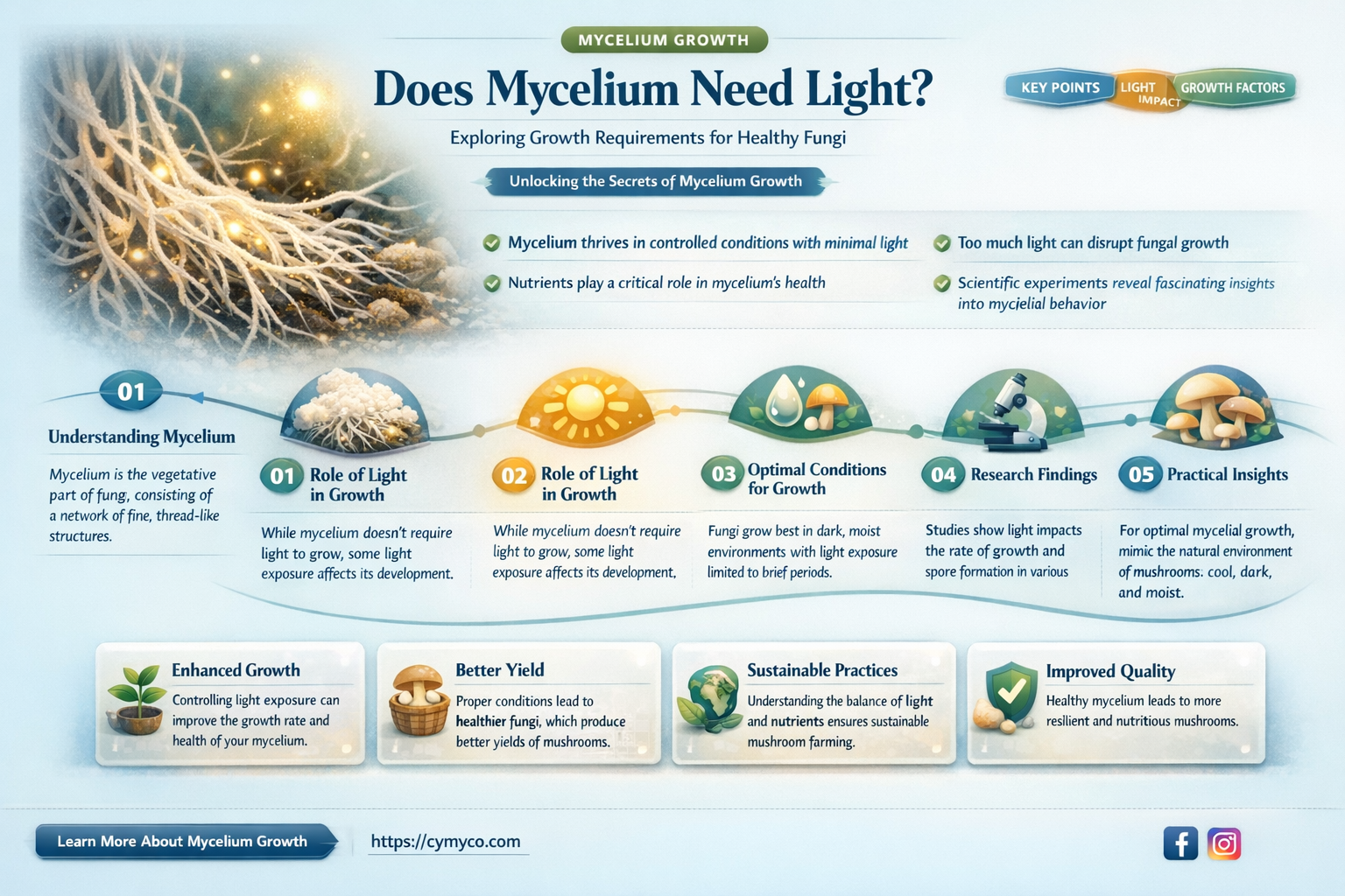 does mycelium need light