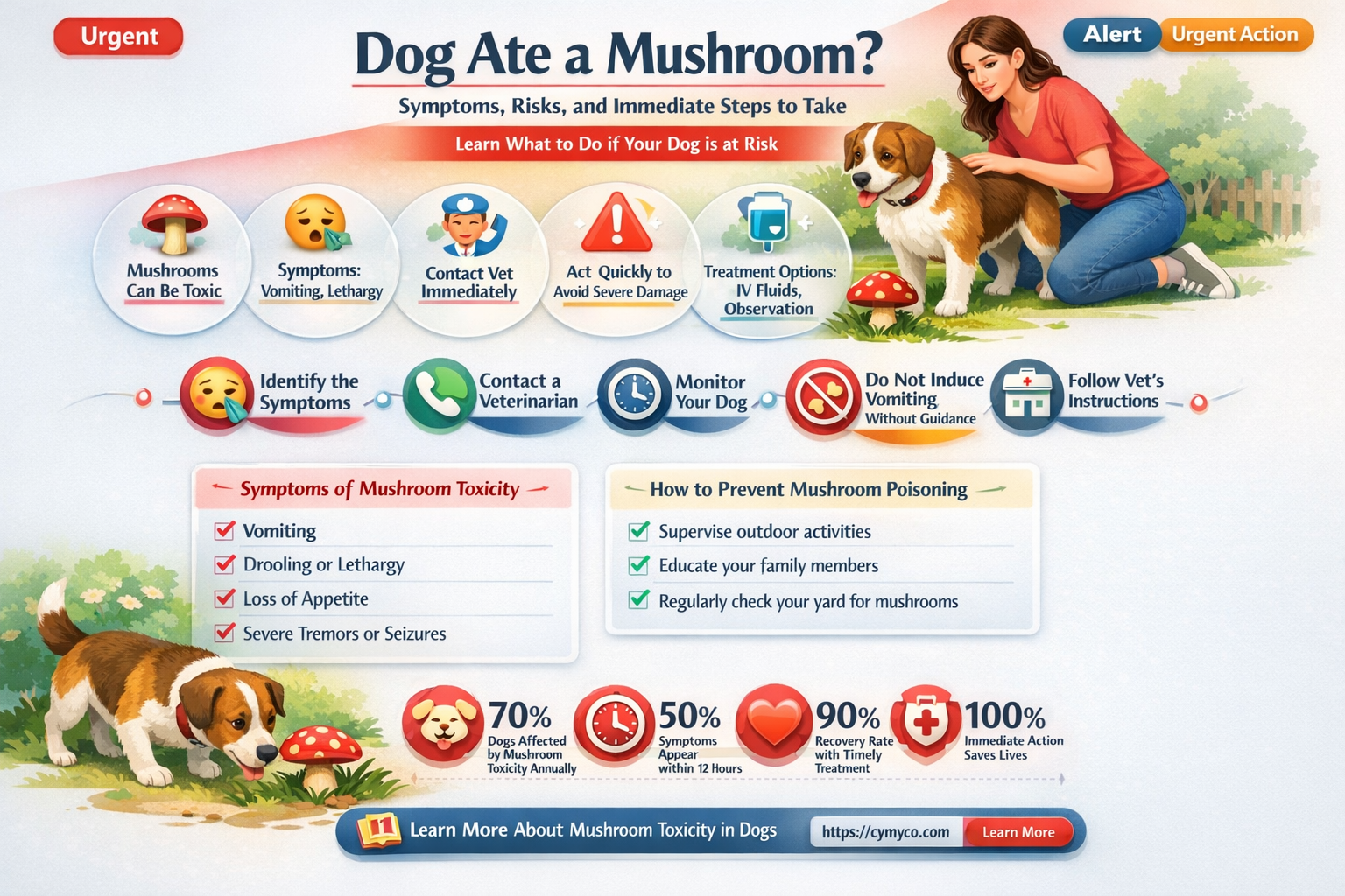what happens if my dog eats a mushroom