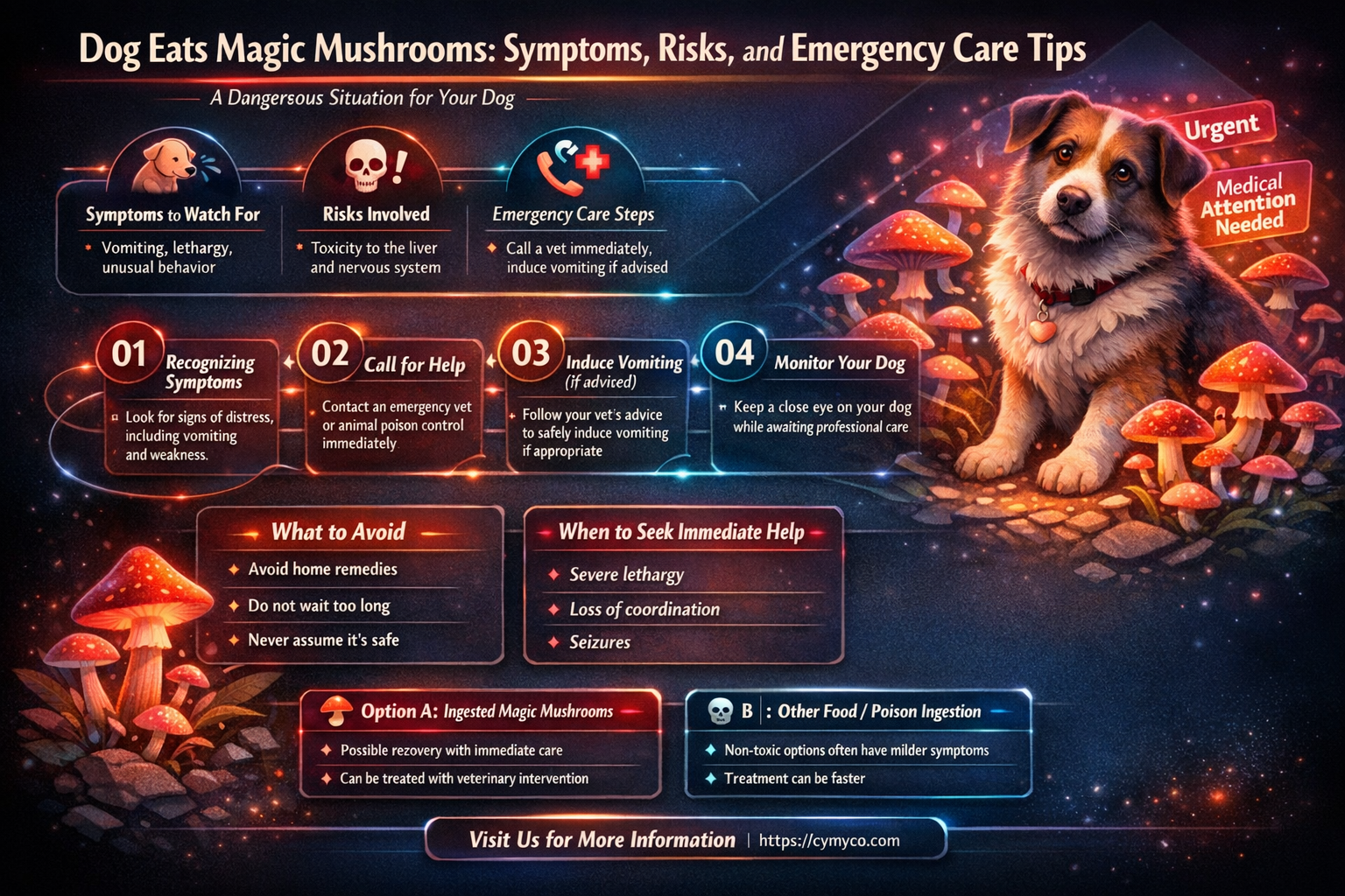 what happens if a dog eats magic mushrooms