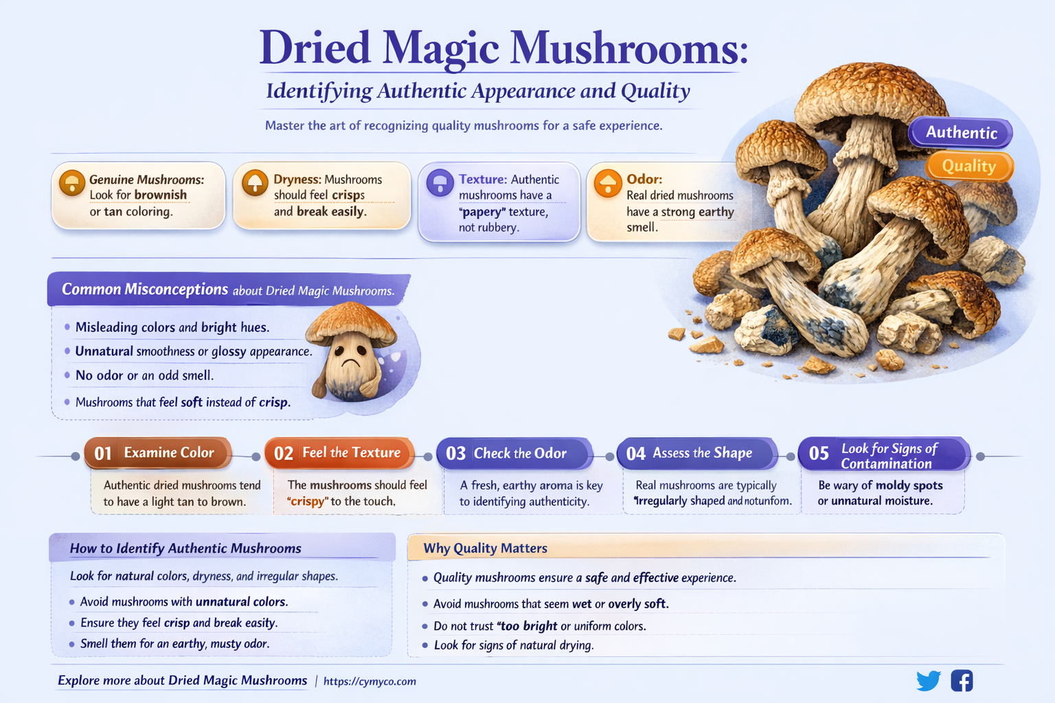 what should magic mushrooms look like dried