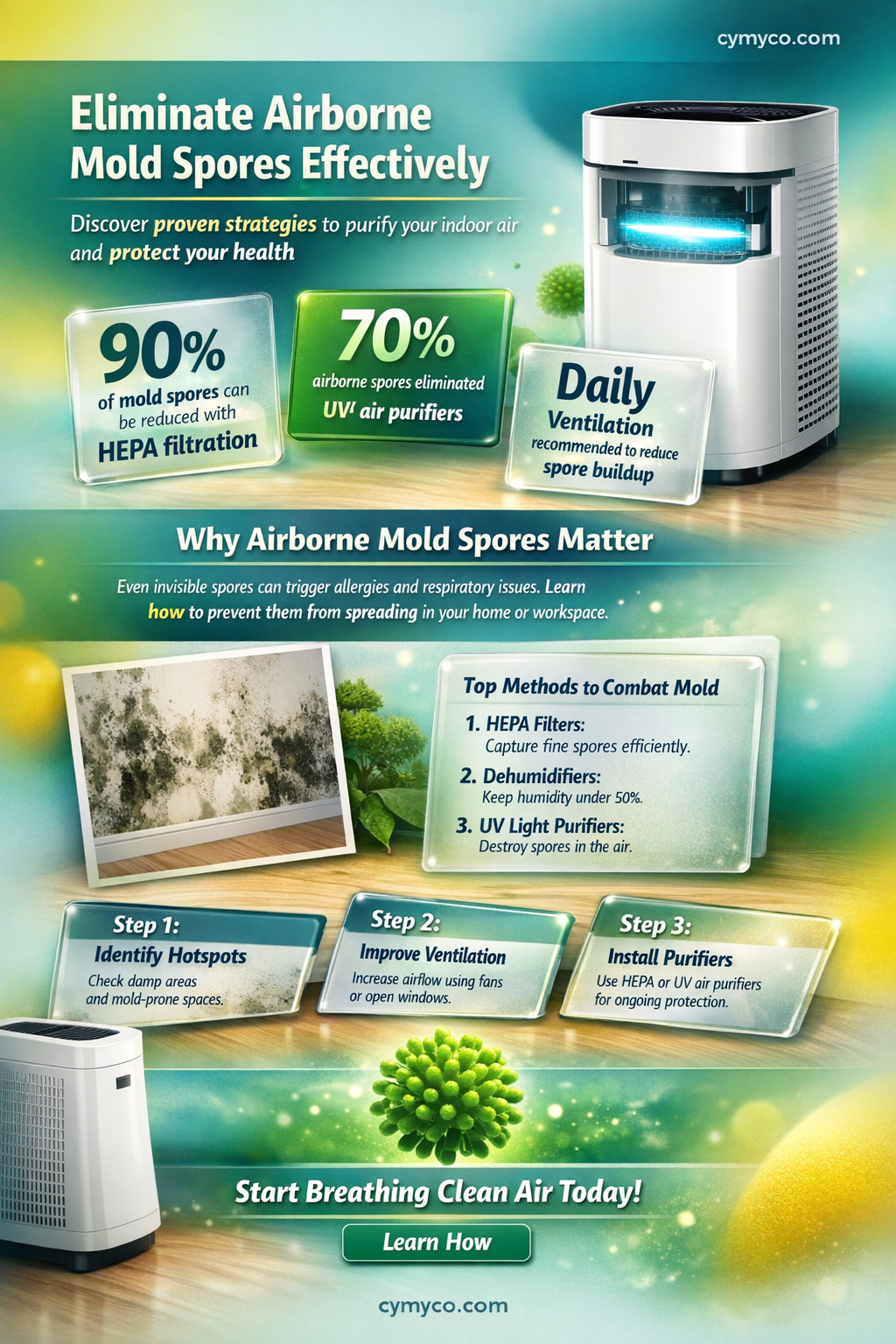 what kills airborne mold spores