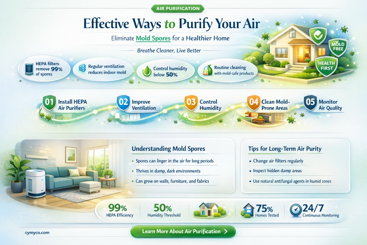 how to remove mold spores from the air