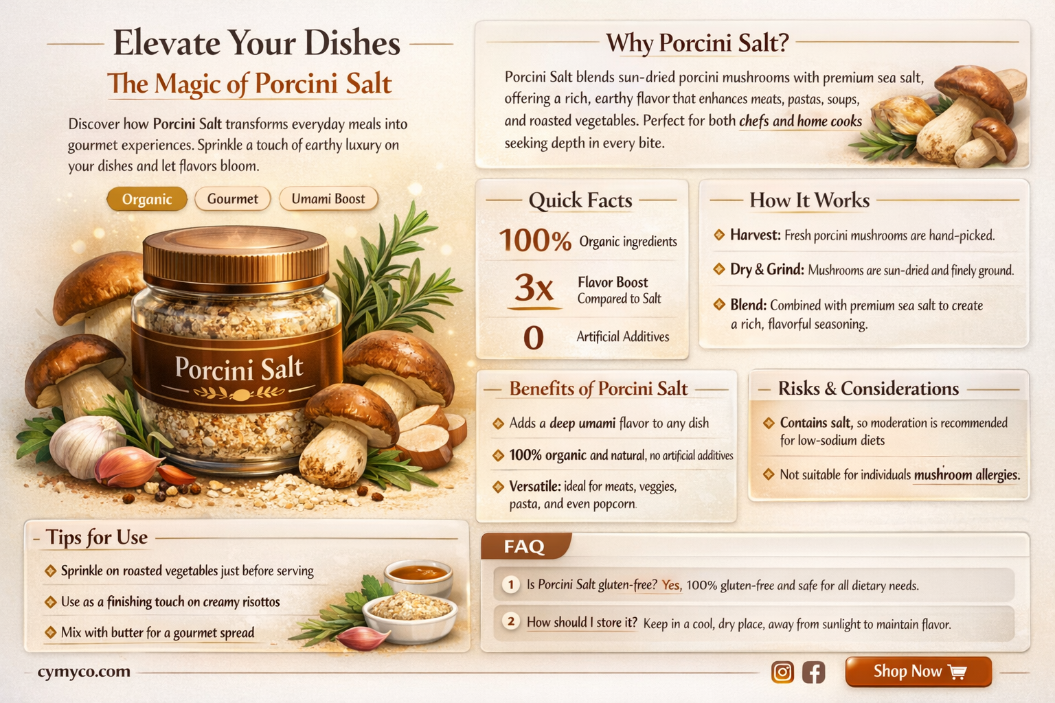 how to use porcini salt