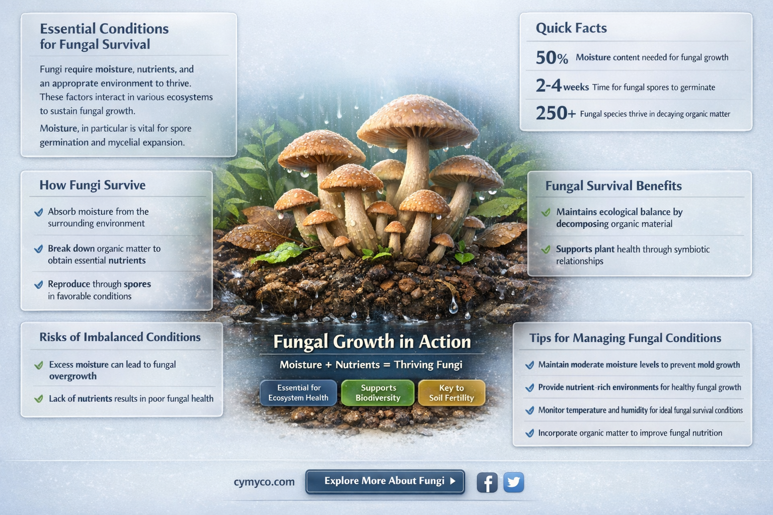 what do fungi need to survive