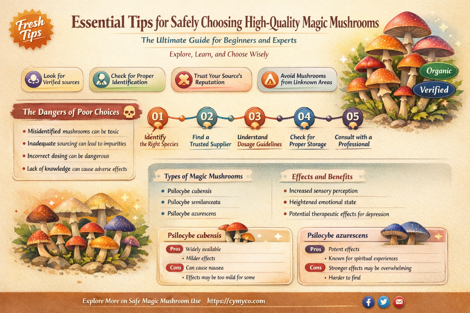 what to look for when picking magic mushrooms
