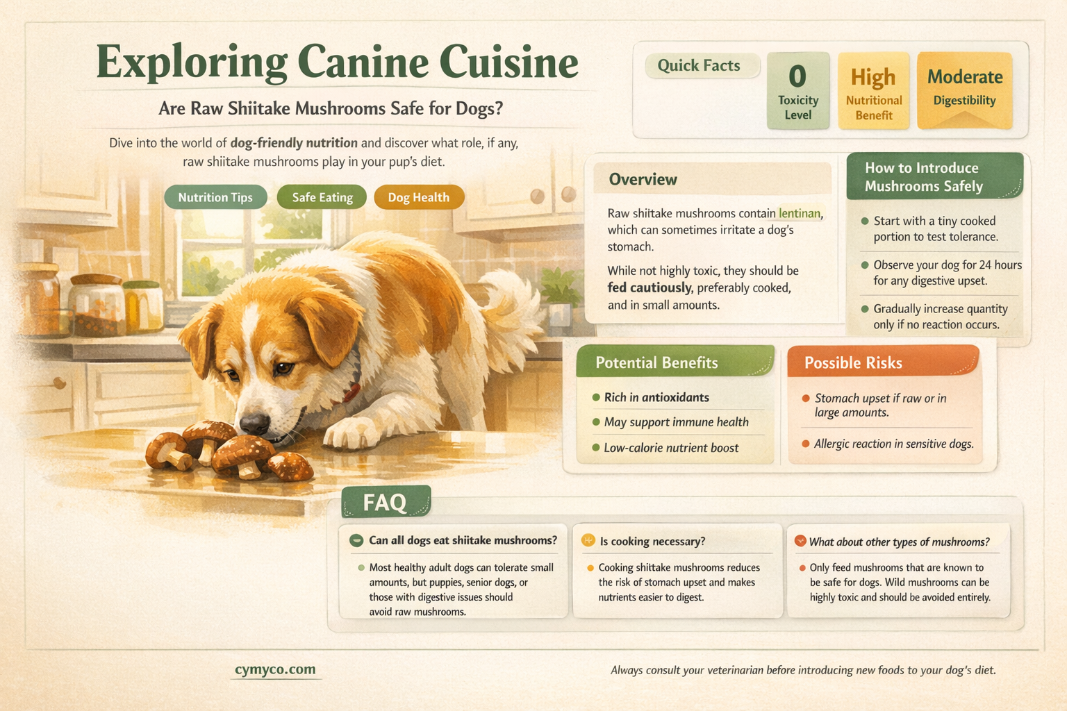 can dogs eat raw shiitake mushrooms