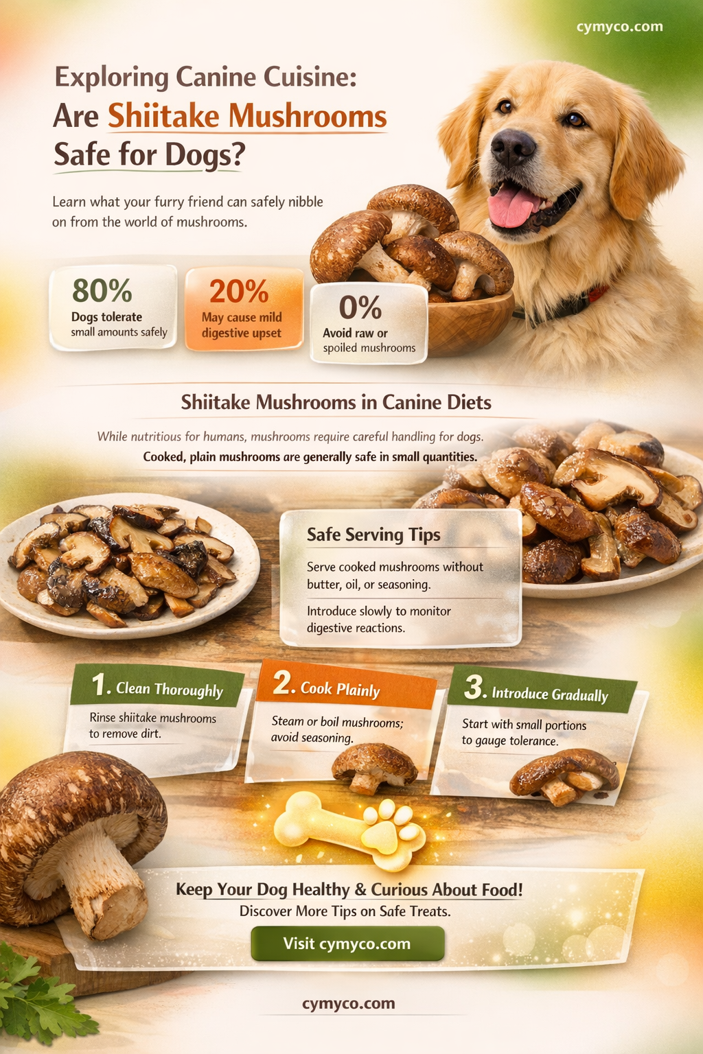 can dogs have shiitake