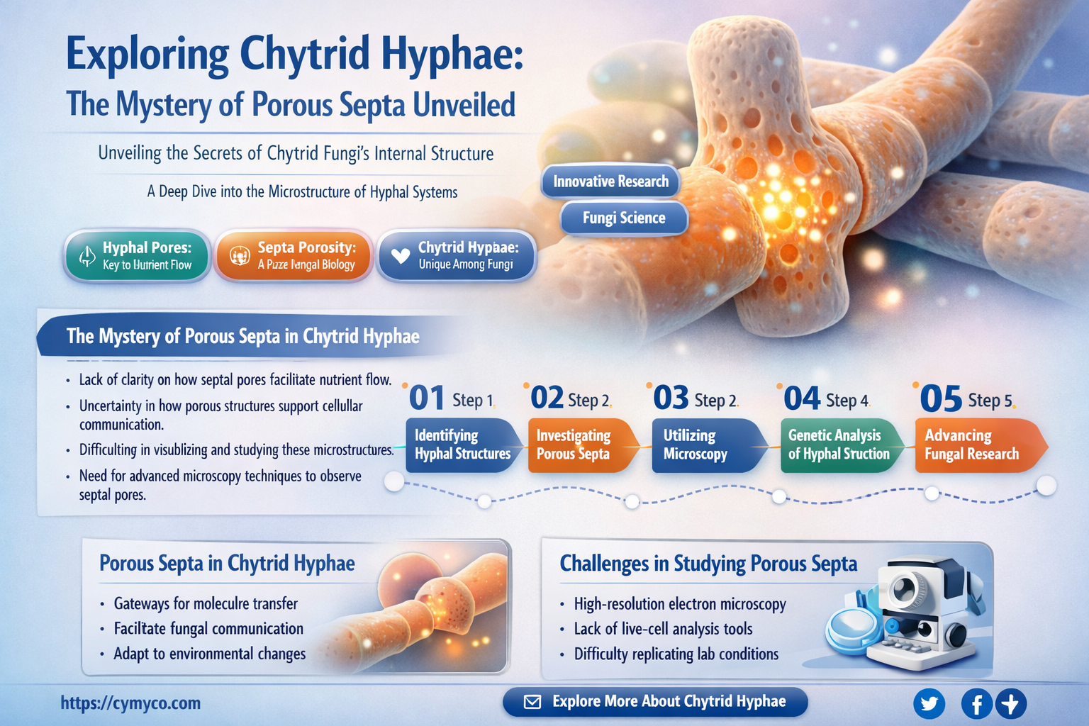 do chytrids have hyphae with porous septa