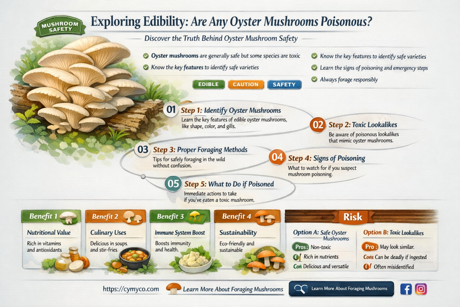 are any oyster mushrooms poisonous