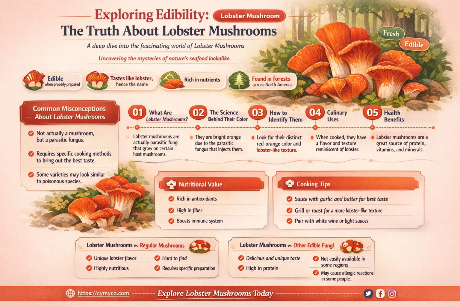are lobster mushrooms safe to eat