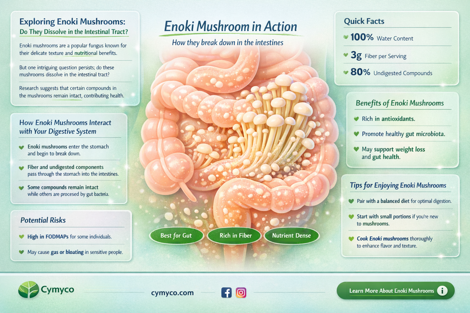 does enoki dissolve in intestinal track