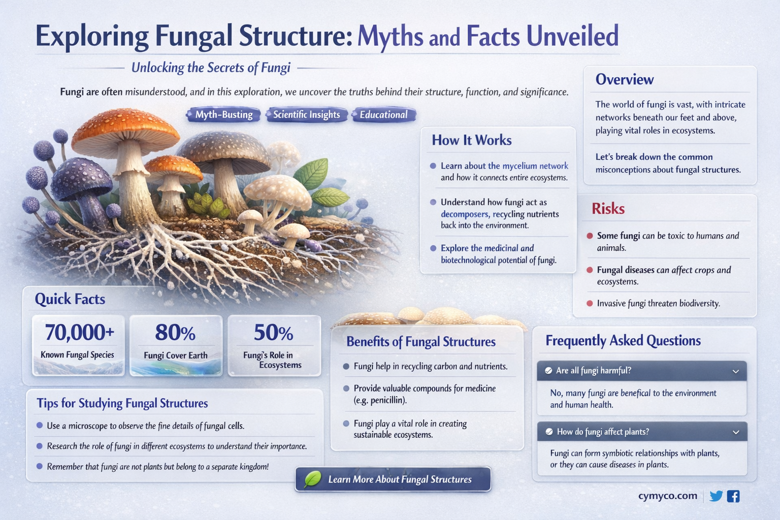 which of the following statements about fungal structure are true