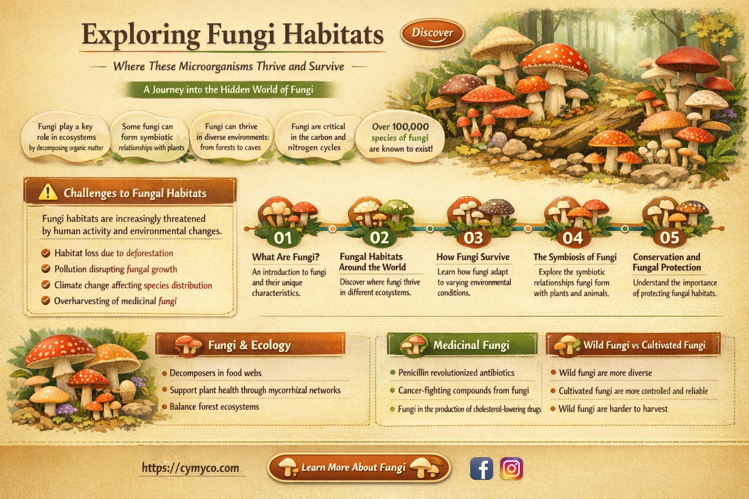 where can fungi grow