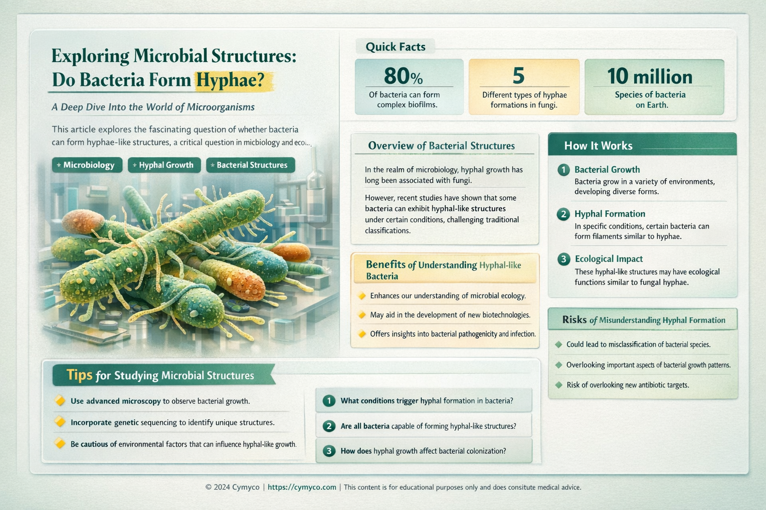do bacteria have hyphae
