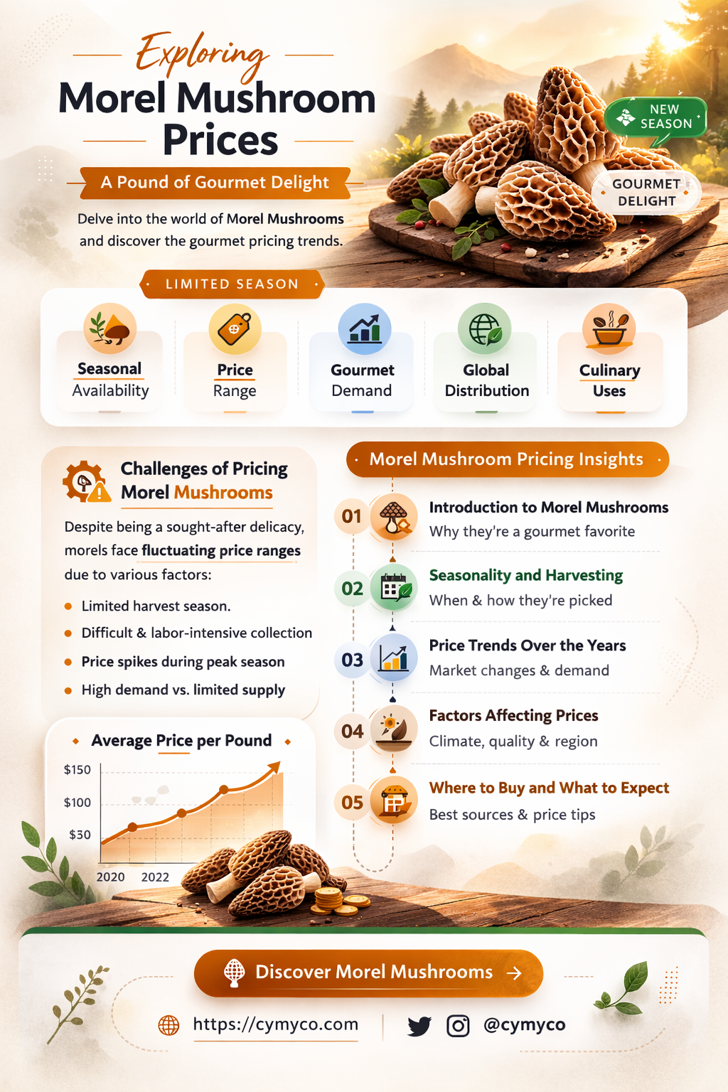 how much is morel mushrooms a pound