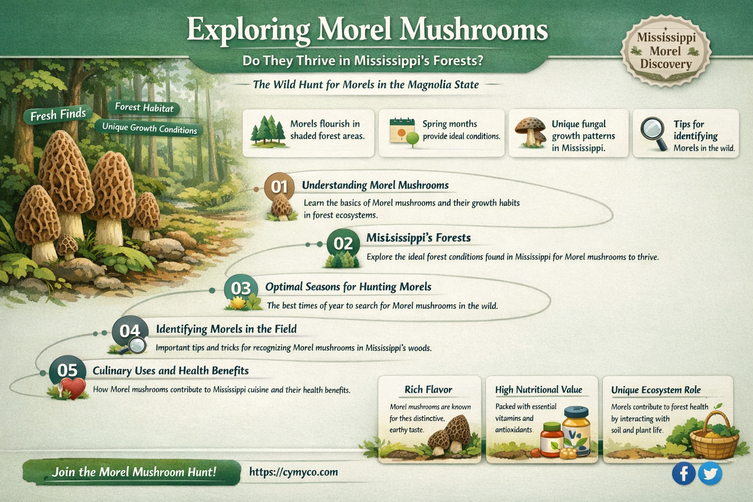 do morel mushrooms grow in mississippi