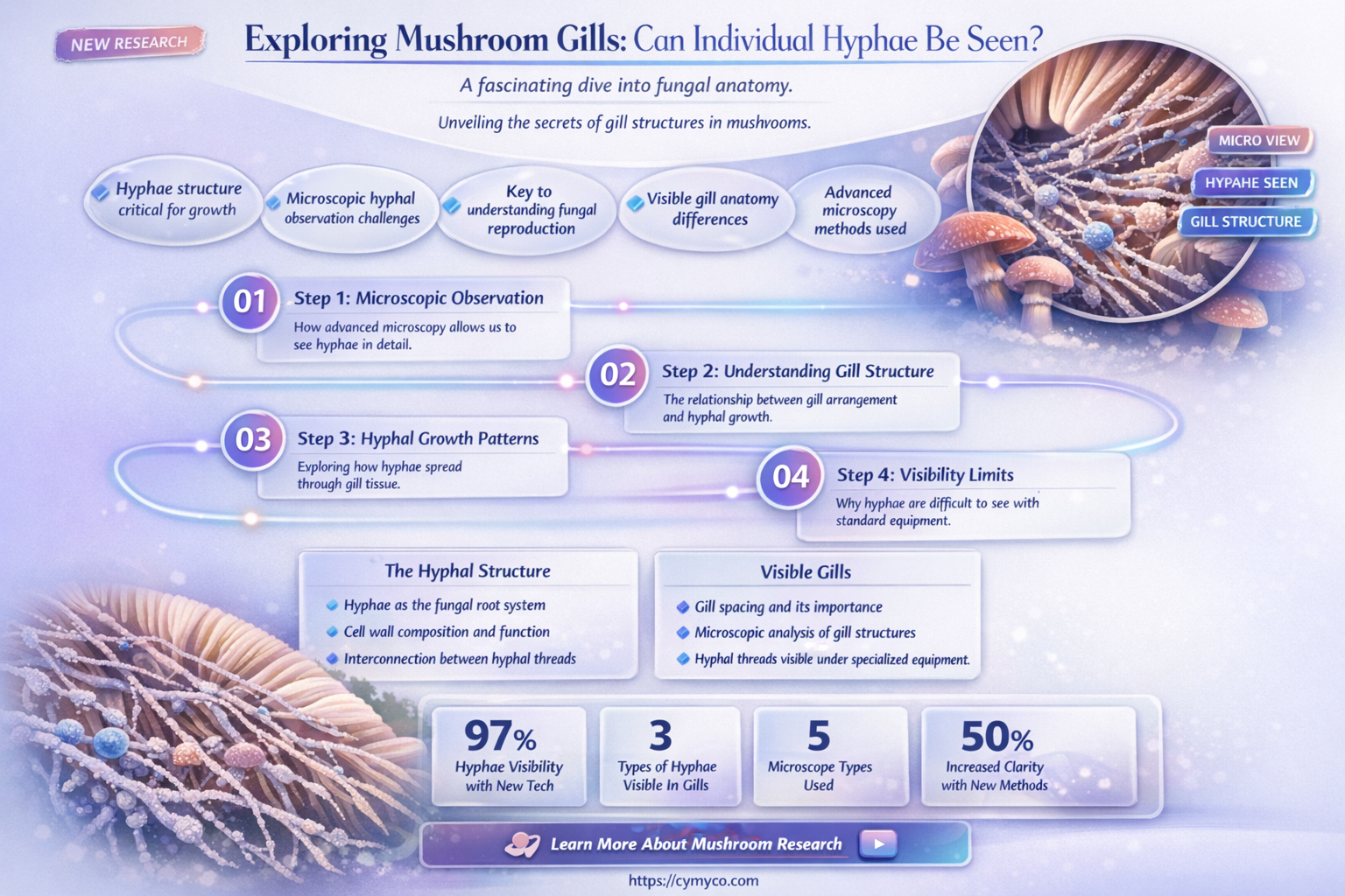 can you see individual hyphae in the gills