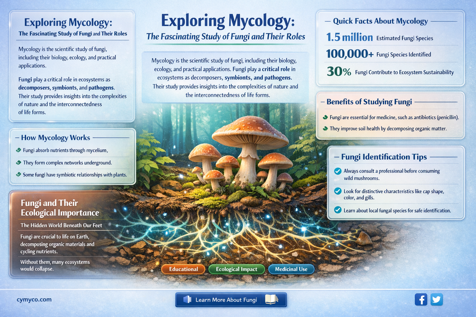 what is mycology the study of