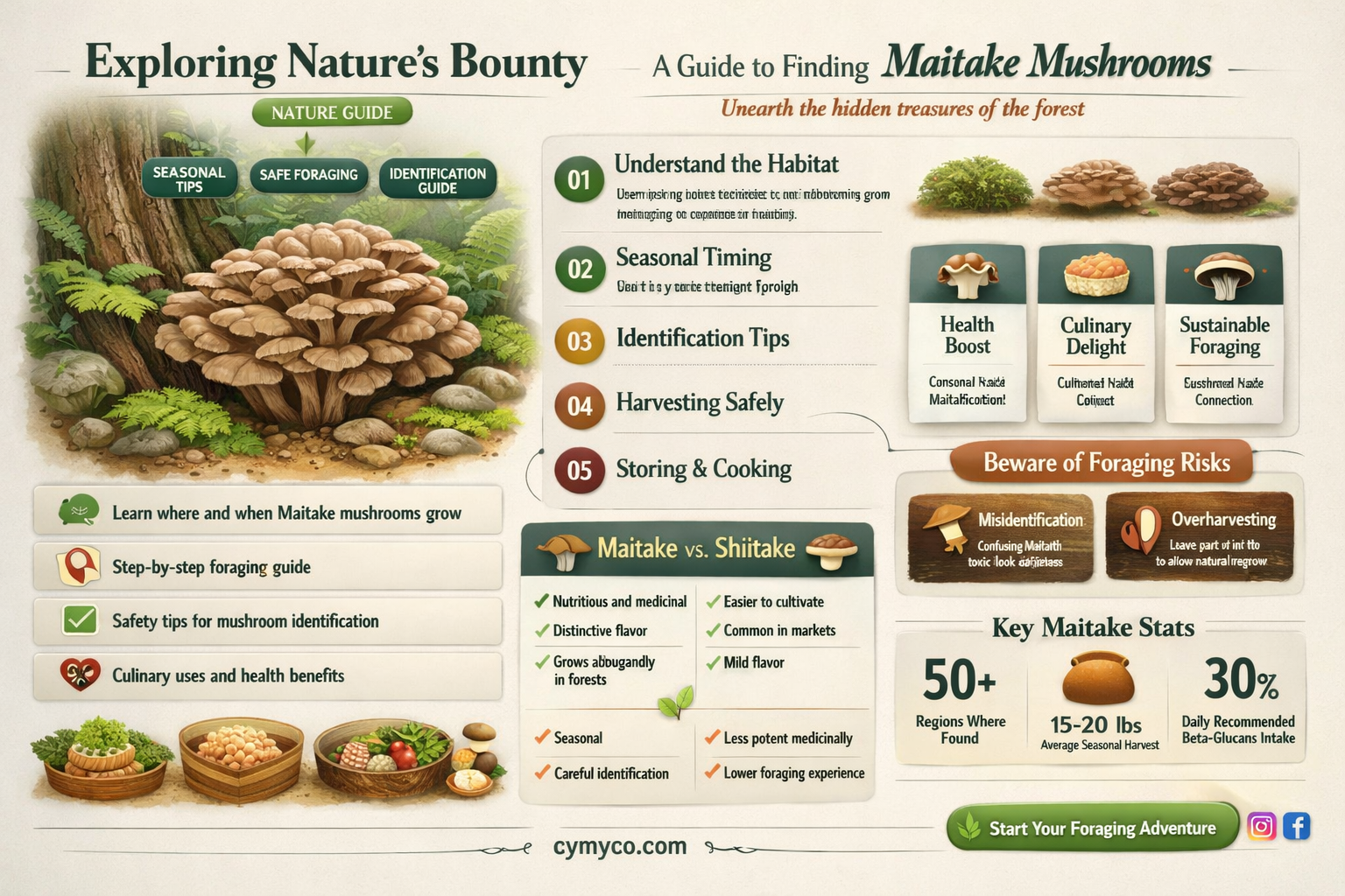 how to find maitake
