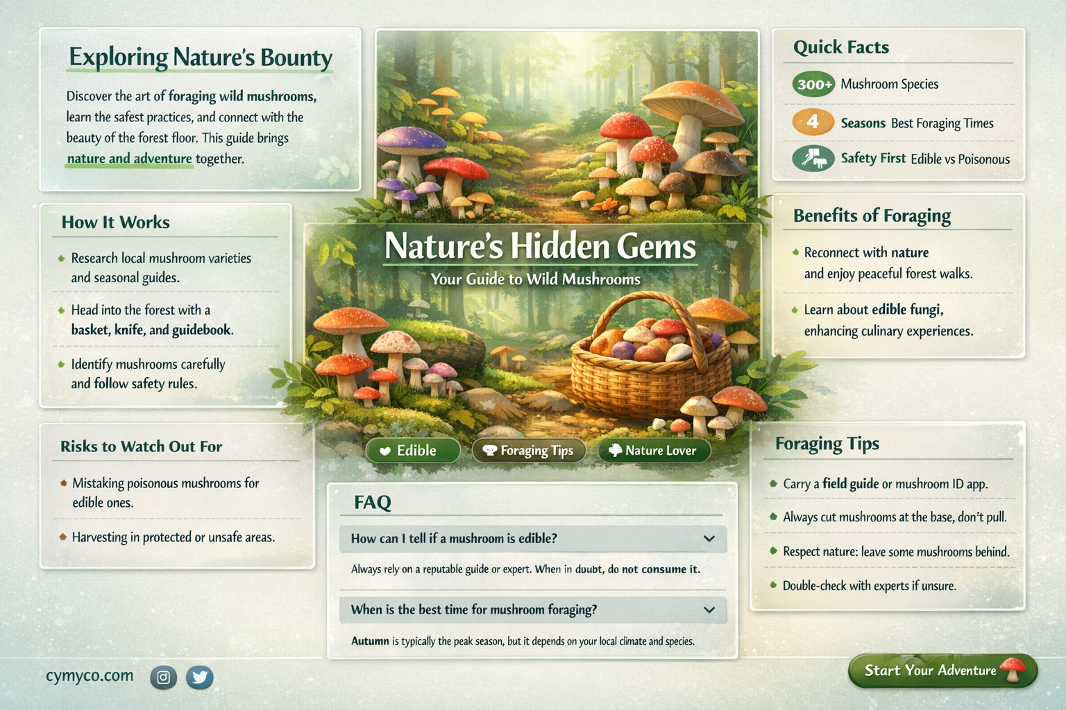 where to find field mushrooms