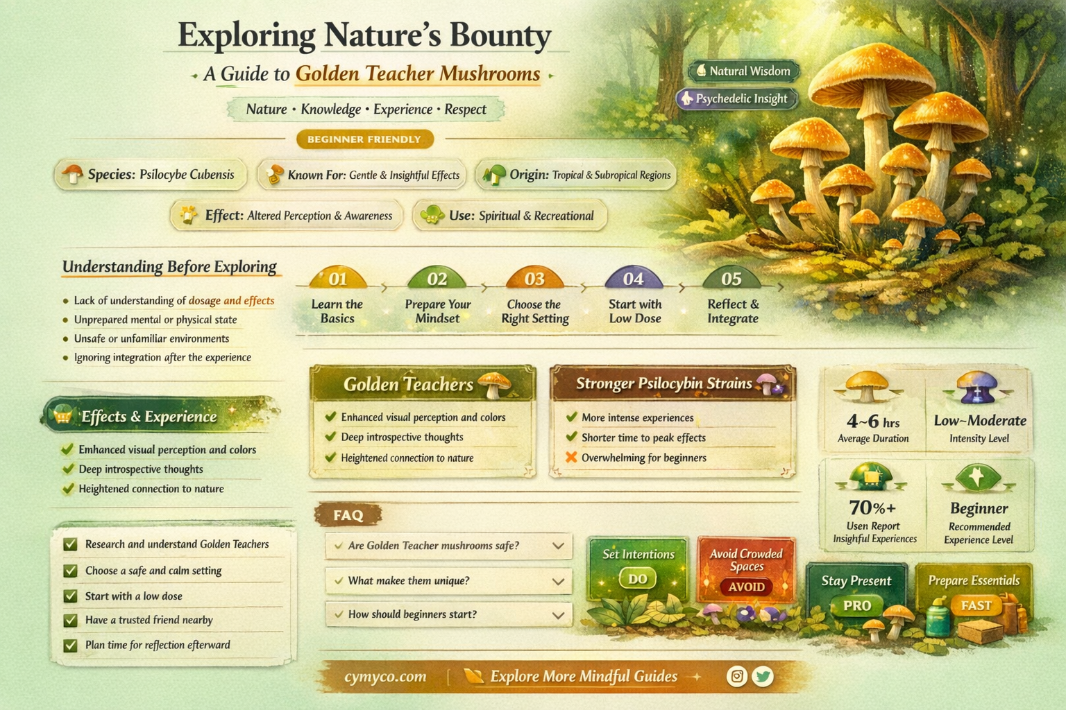 where to find golden teacher mushrooms