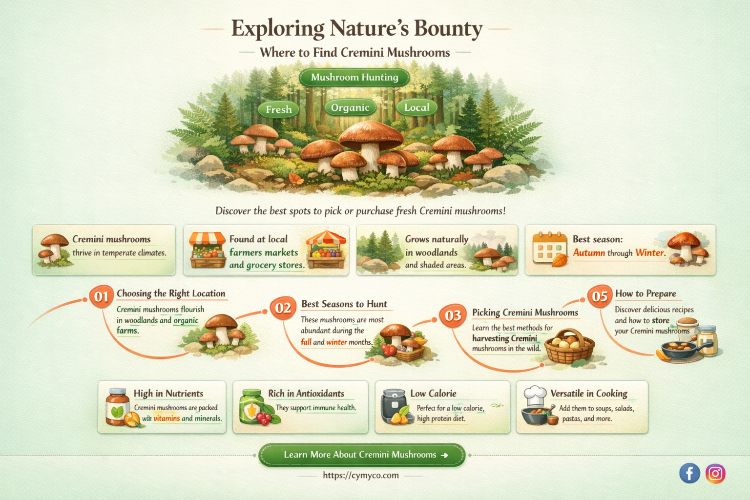 where to find cremini mushrooms