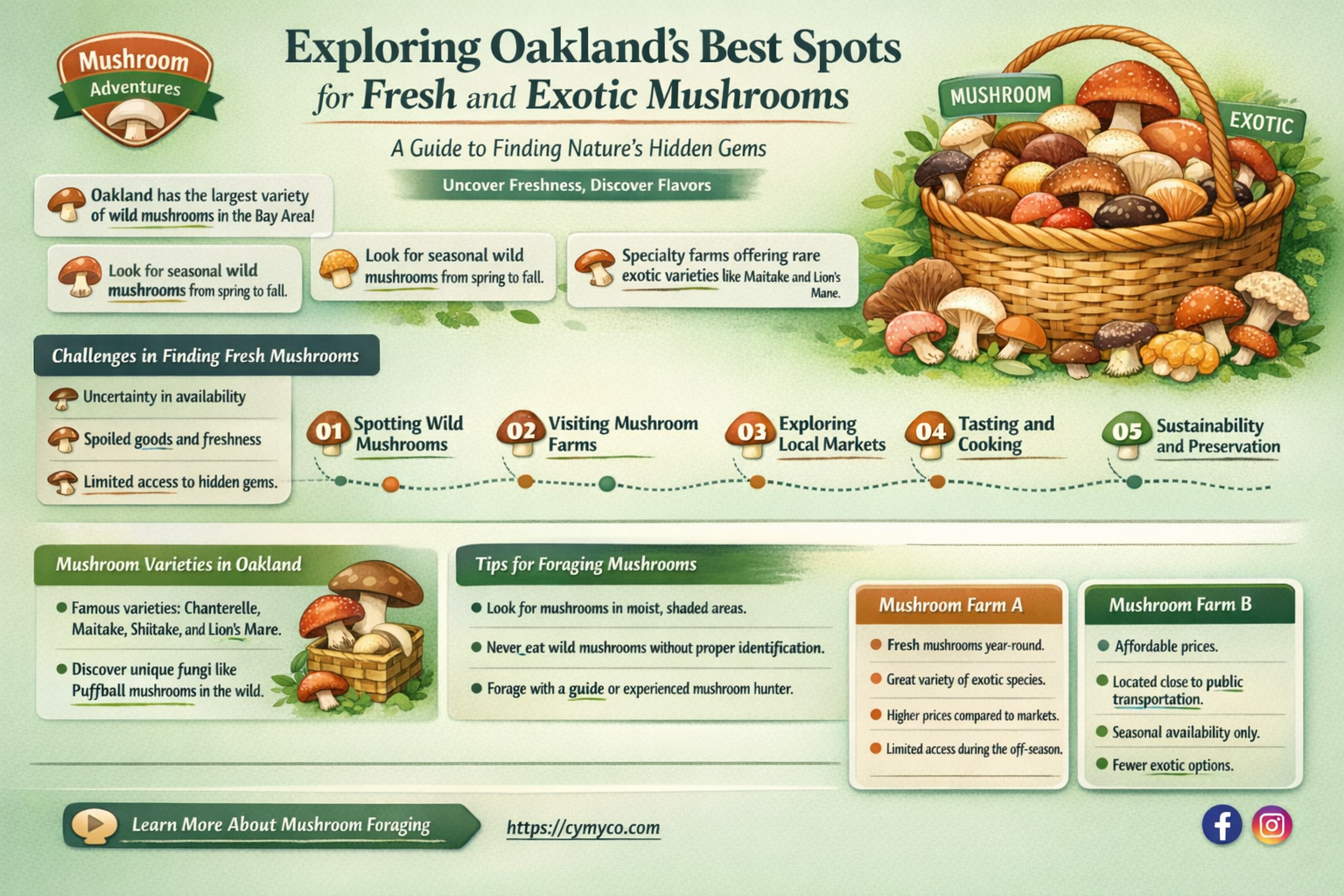 how to buy mushrooms in oakland