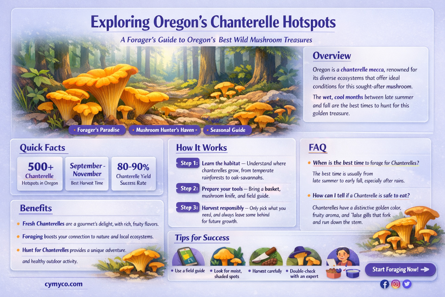 where to find chanterelle mushrooms in oregon