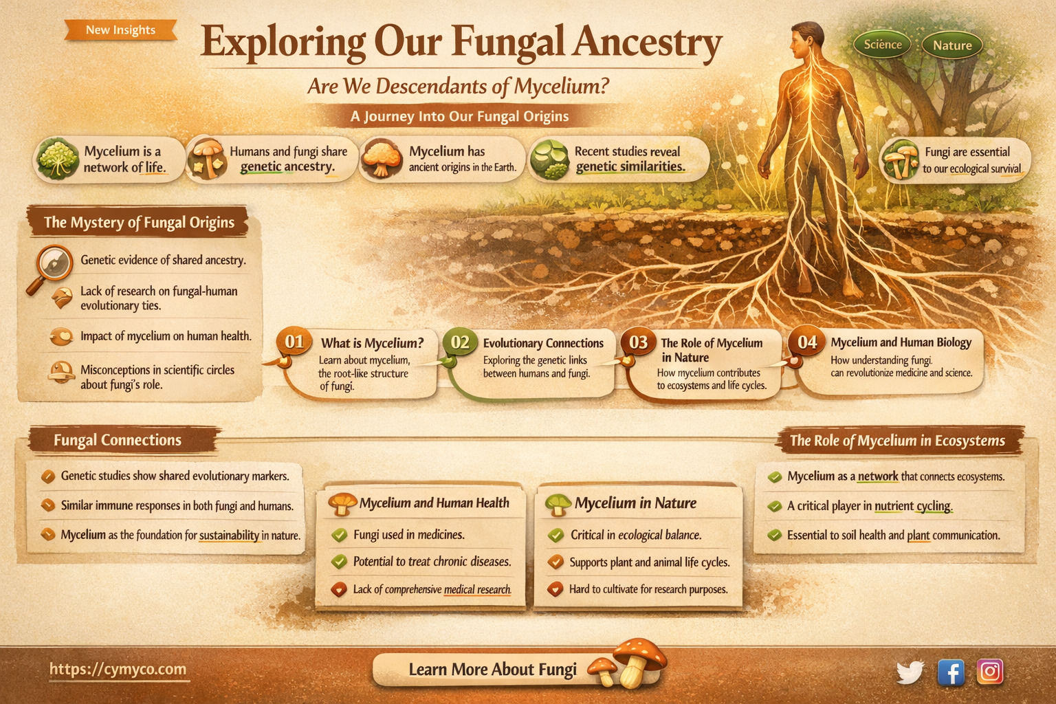 are we descendants of mycelium