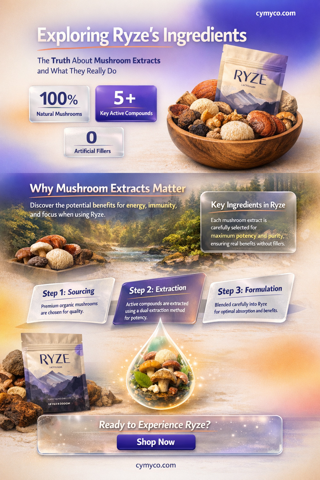 does ryze use mushroom extract