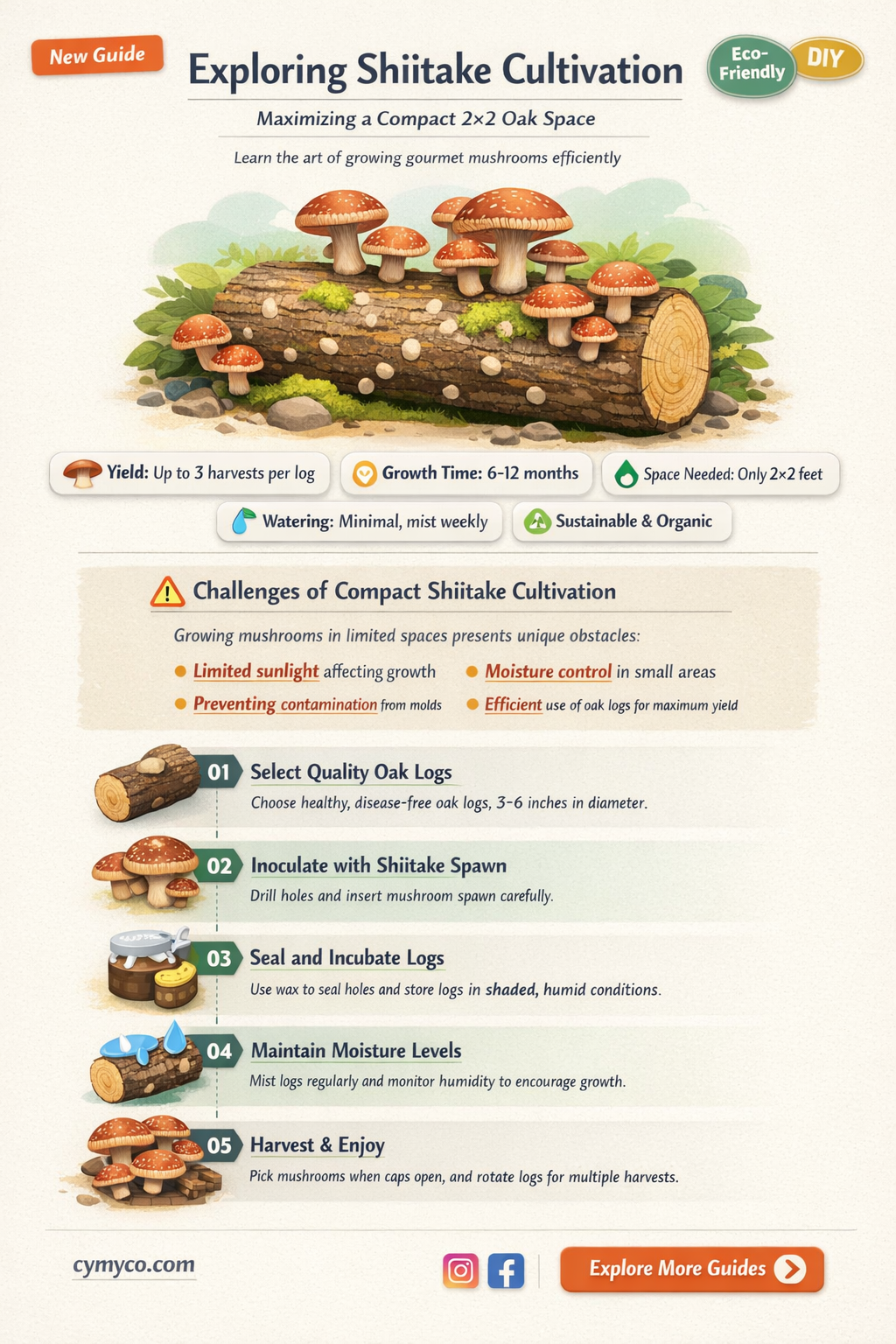 can i produce shiitake in a 2x2 oak