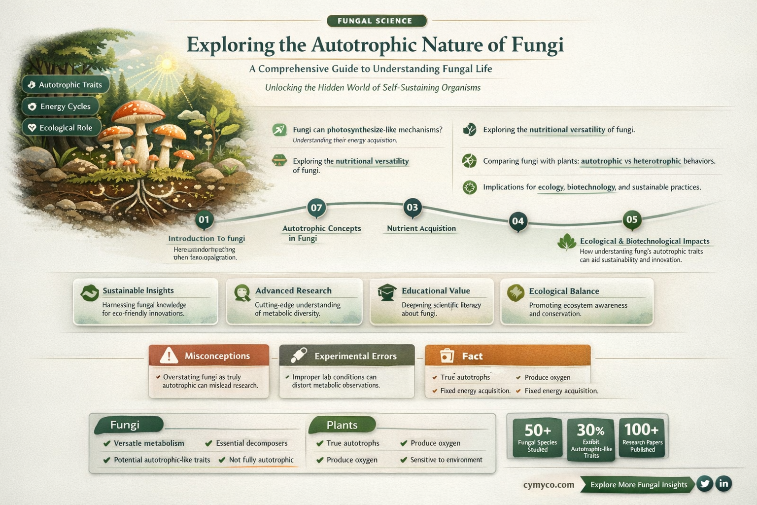 is fungi an autotroph