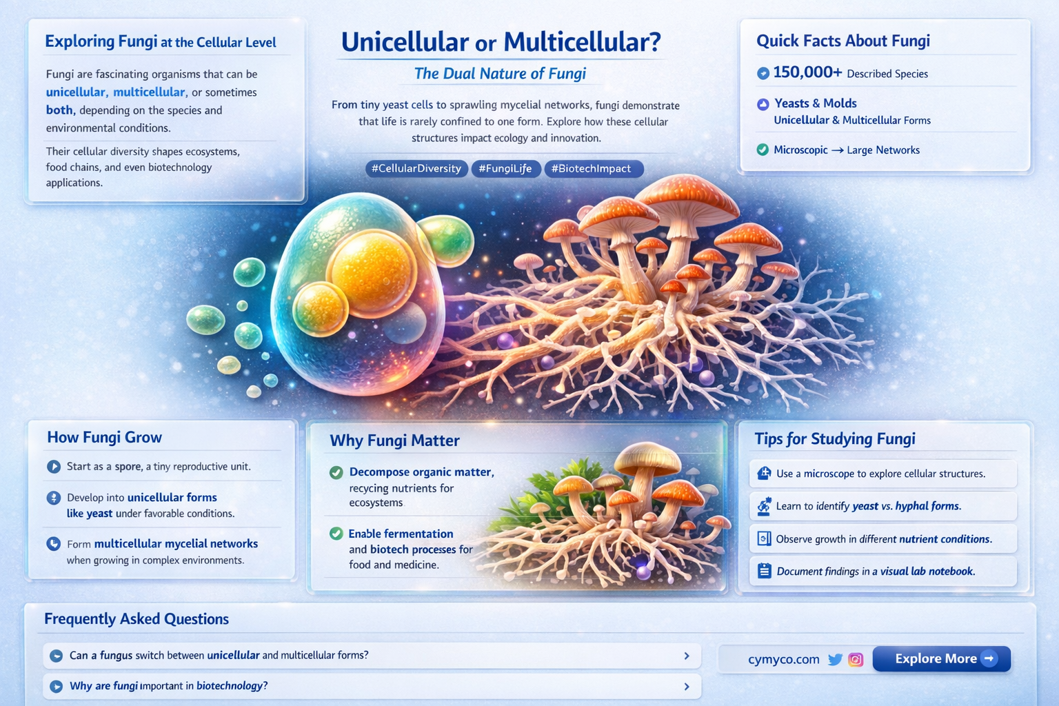 is fungi unicellular or multicellular or both