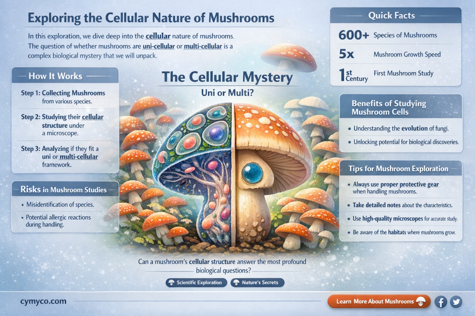is mushroom unicellular or multicellular