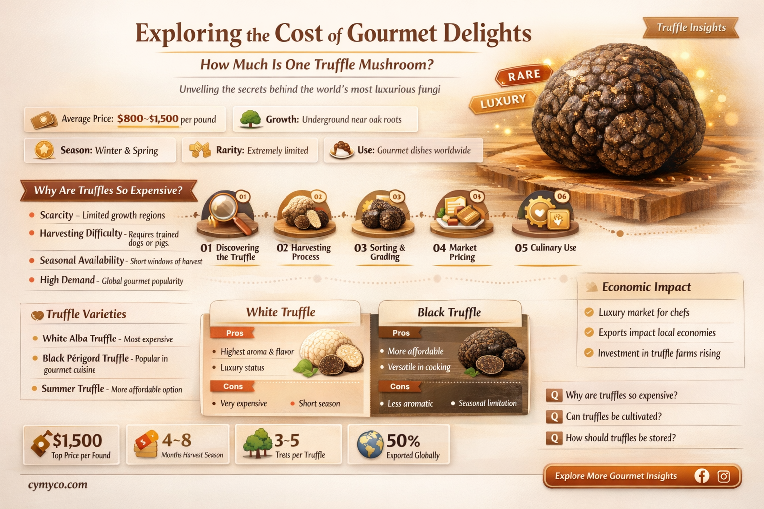 how much is one truffle mushroom