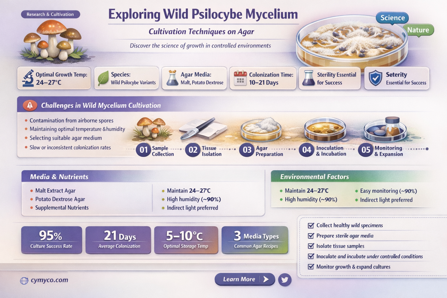 can i grow wildfound psilicybe mycelium on agar