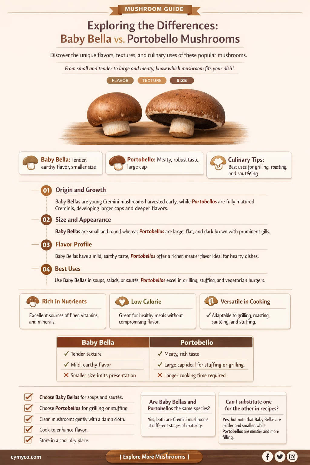 are baby bella and portobello the same