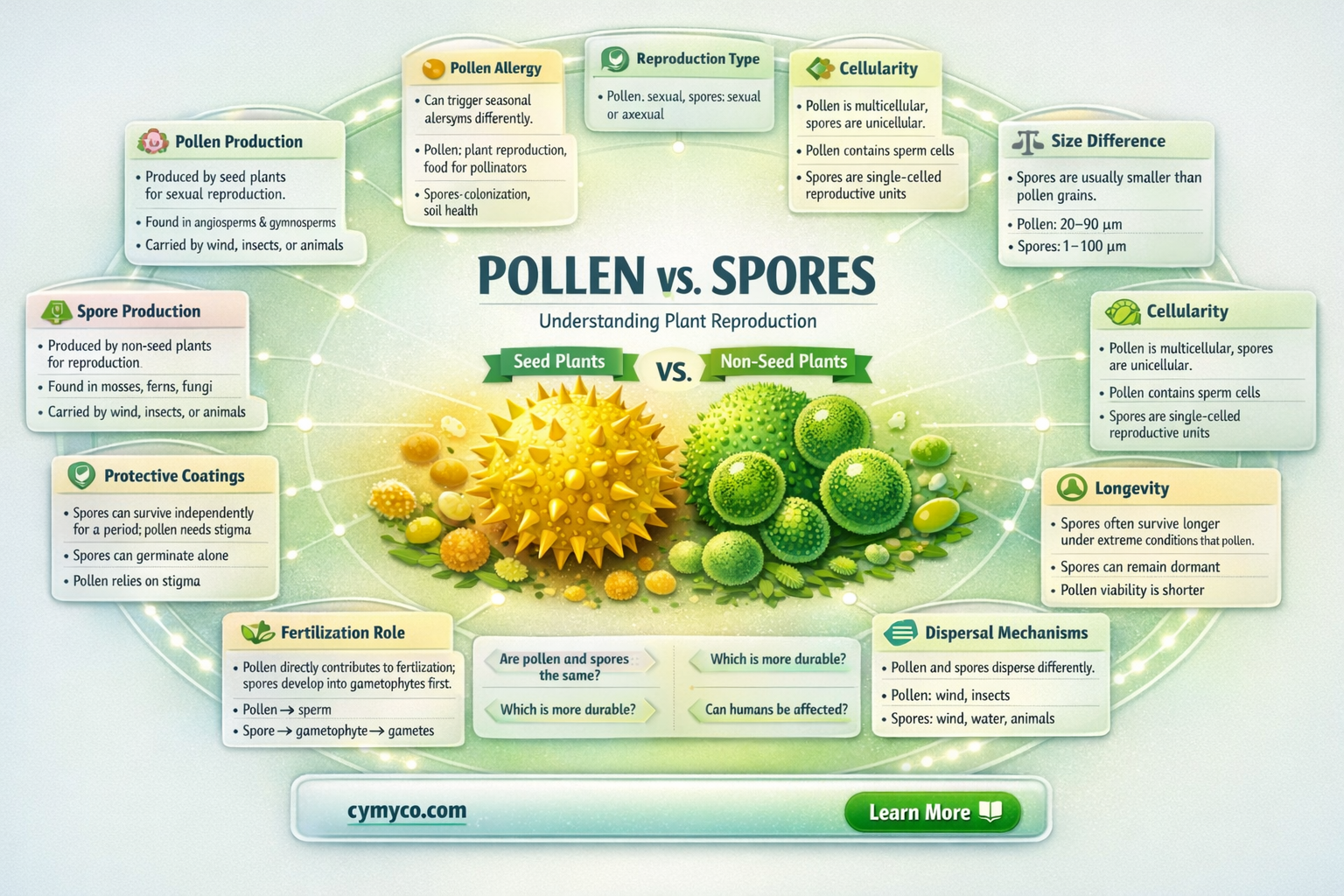 is pollen a spore