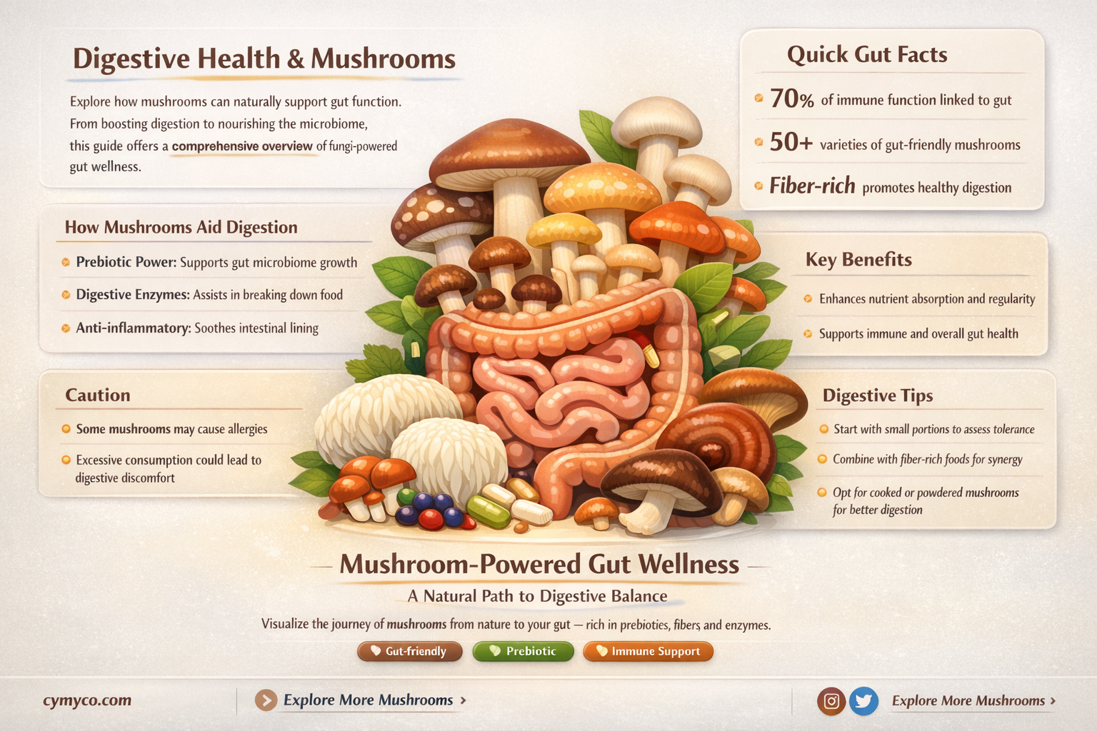 are mushrooms good for digestion