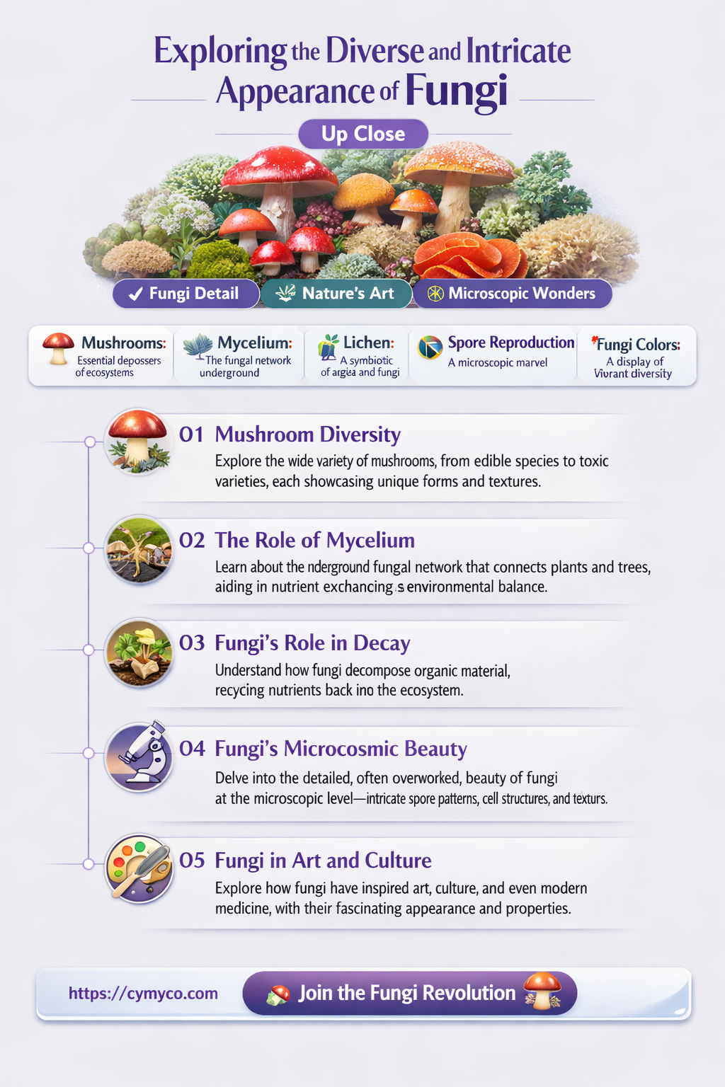 how does fungi look like