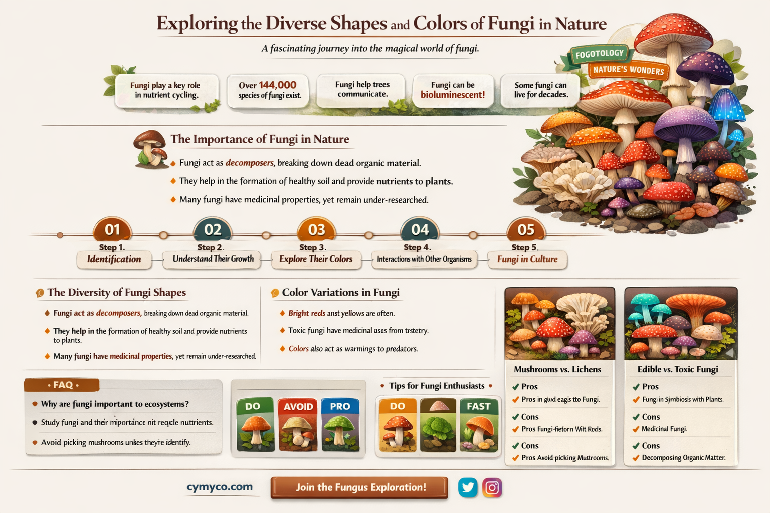 what does a fungi look like