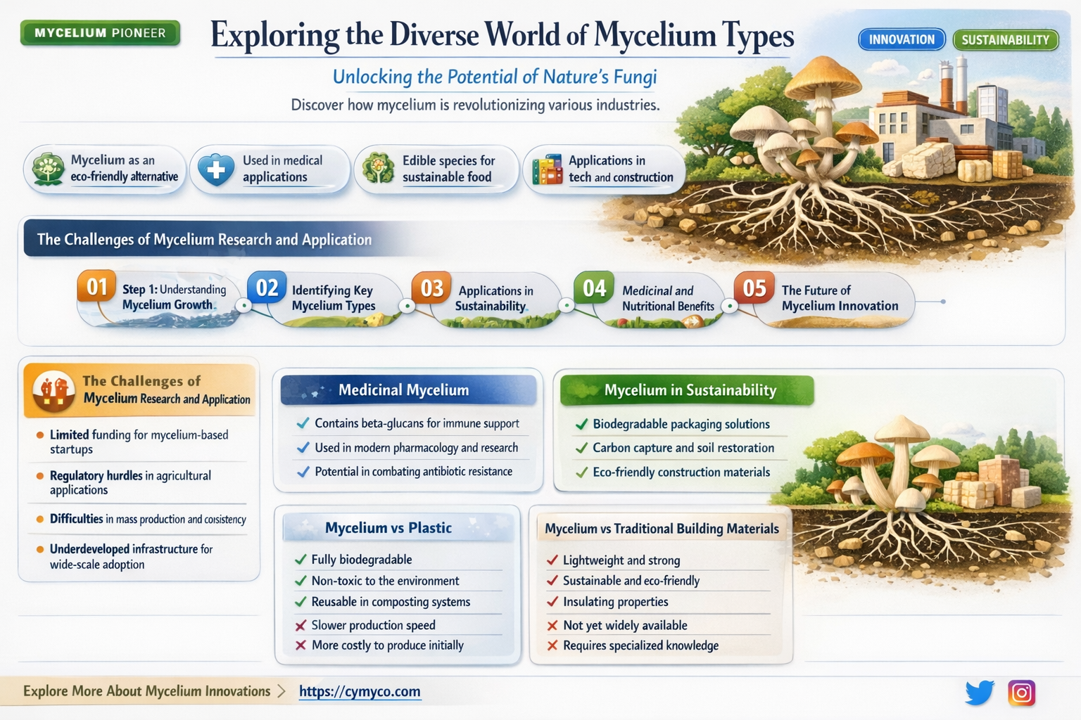 are there different types of mycelium