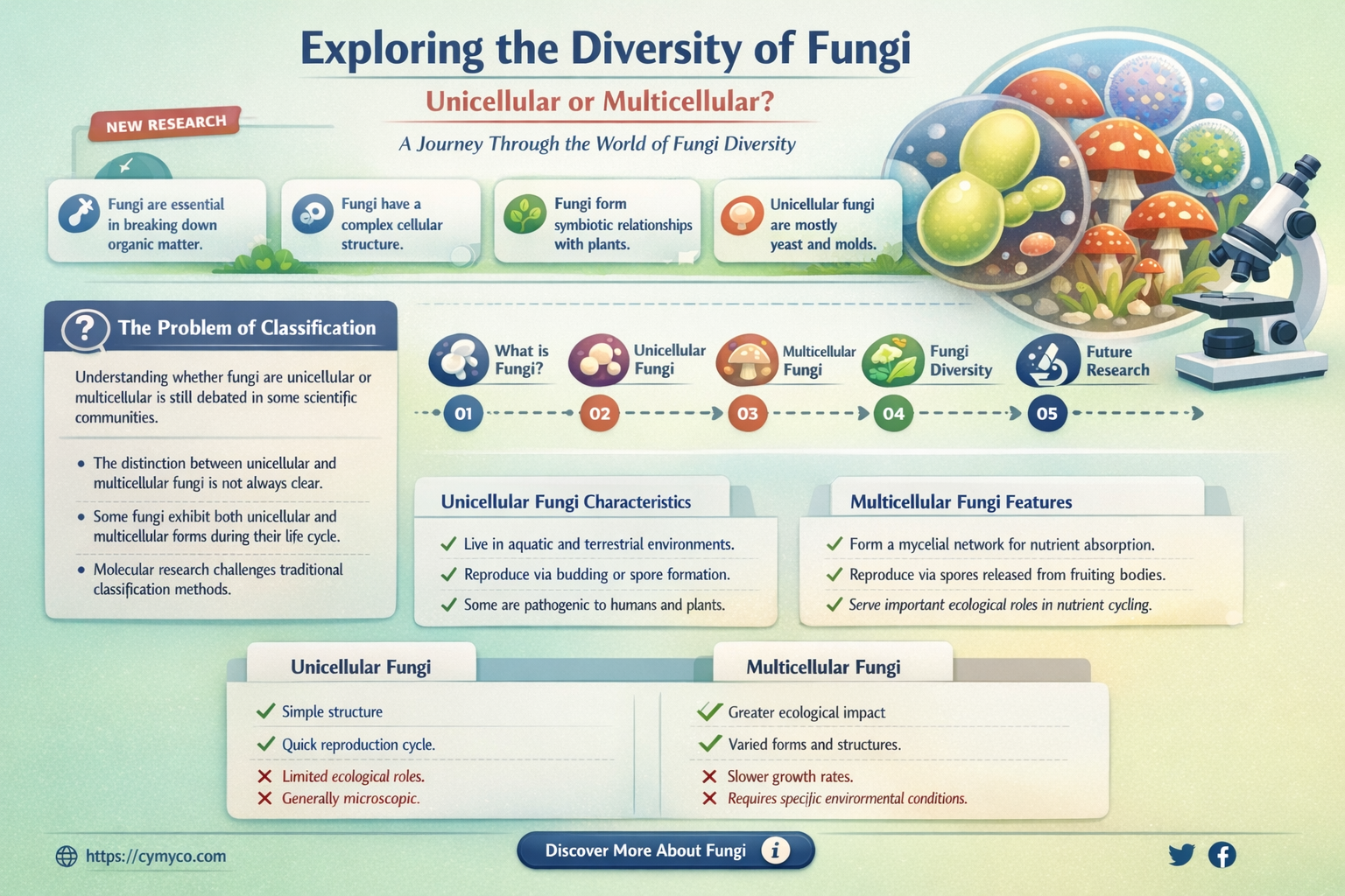 are all fungi unicellular