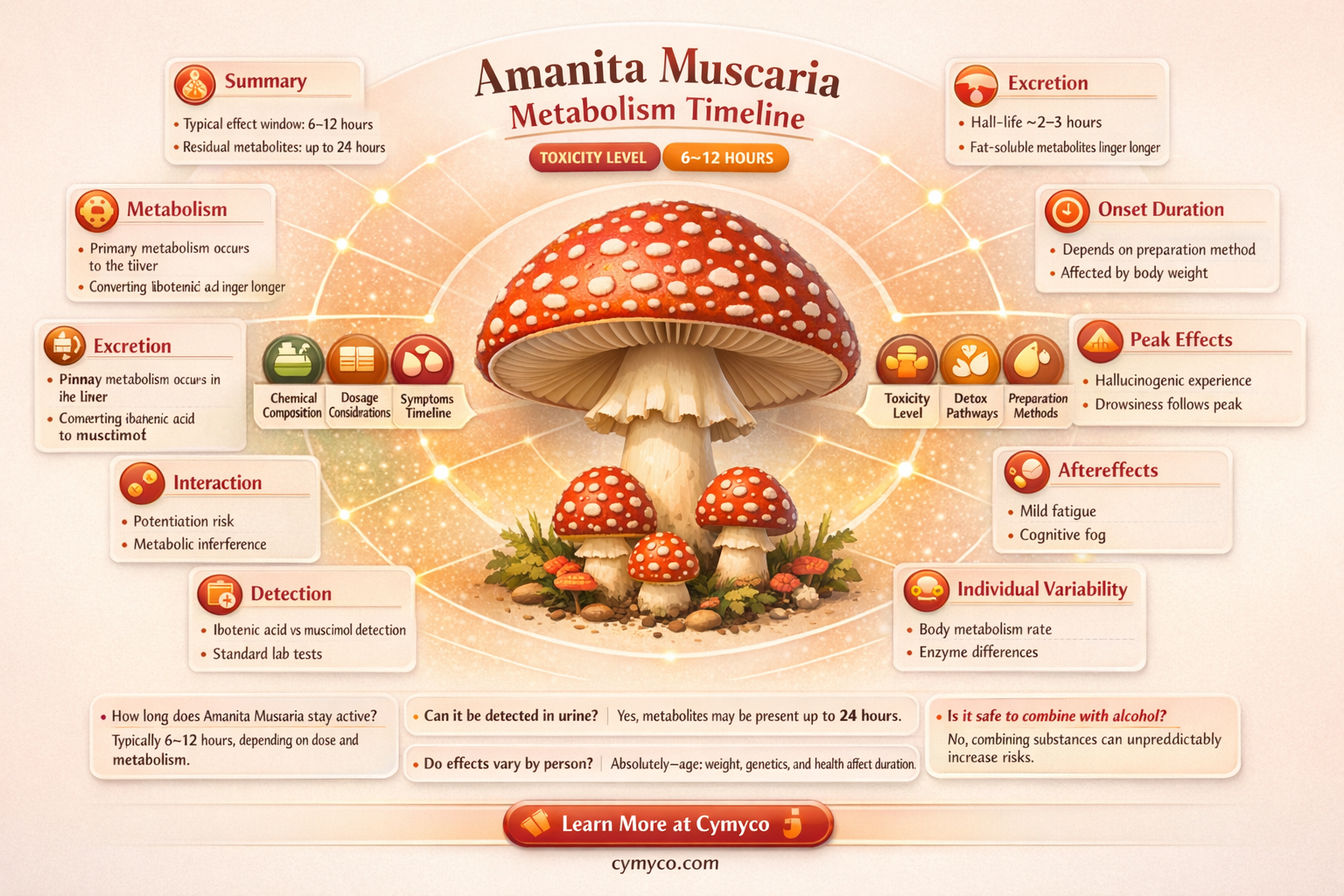 how long does amanita muscaria stay in your system
