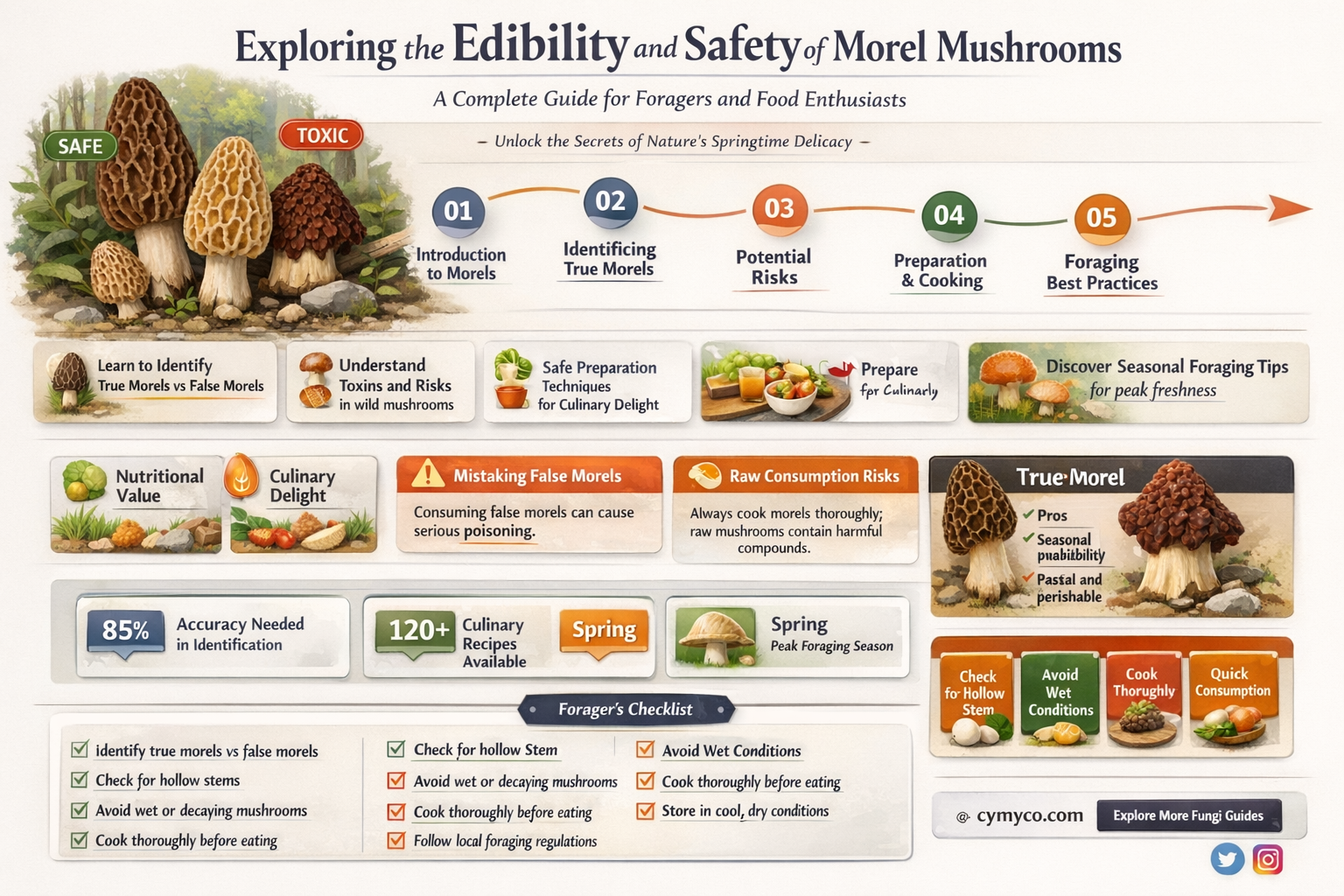 are morel mushrooms safe to eat