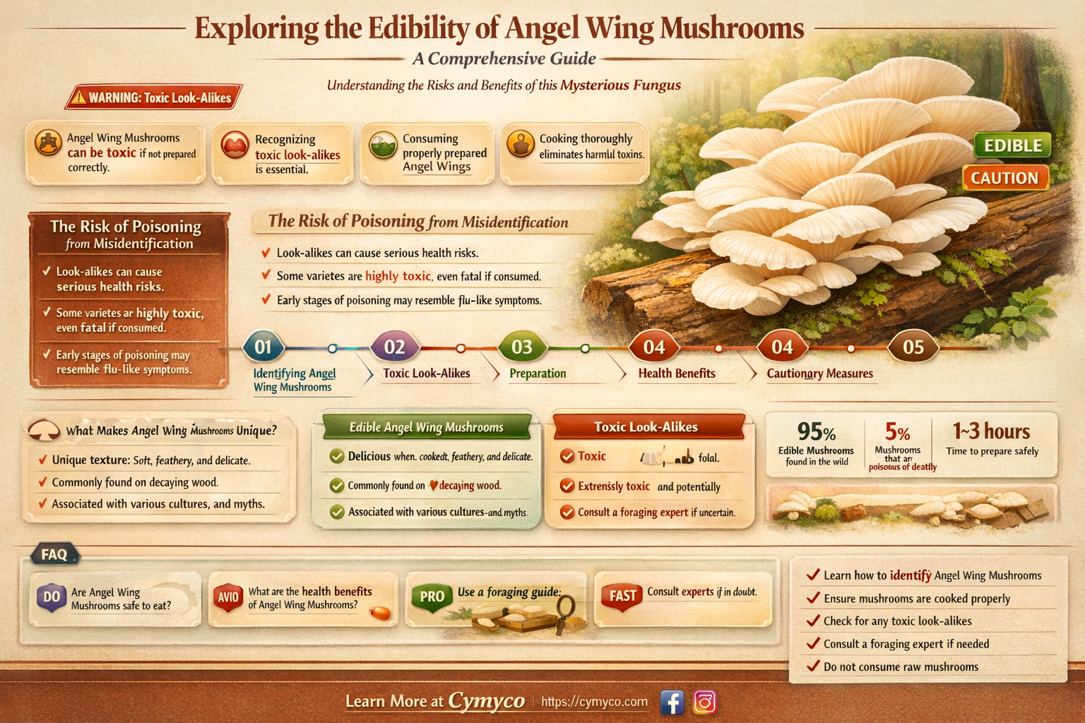 are angel wing mushrooms poisonous