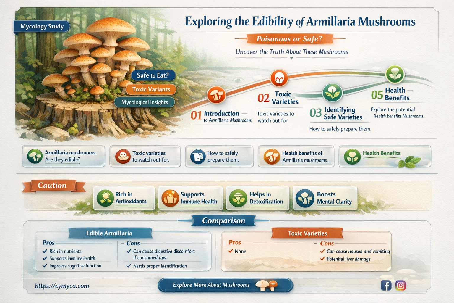 are armillaria mushrooms poisonous